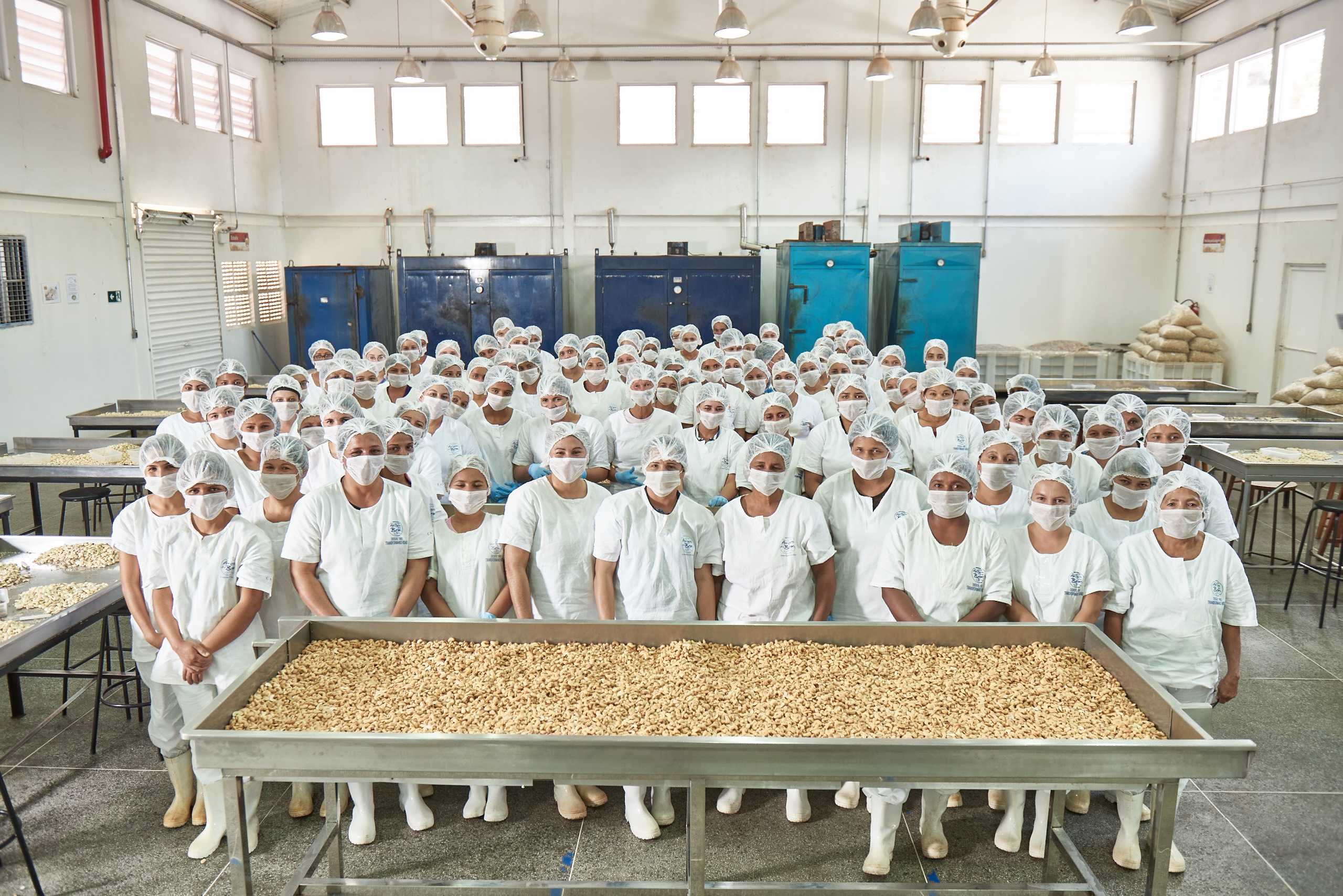 Conheça os 7 benefícios da castanha de caju